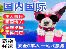 德宏机场货运国际宠物托运 【国